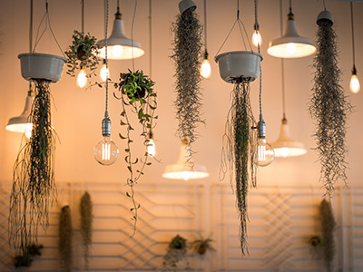 服务器攻击软件